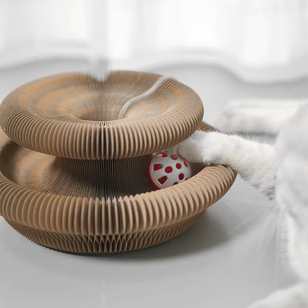 Magic Organ Cat Scratcher Toy